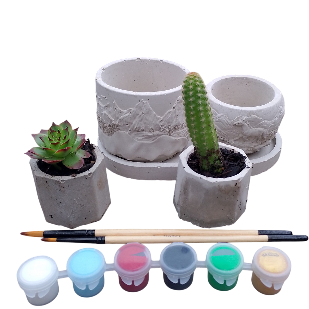 Succulent planter, landscape kit