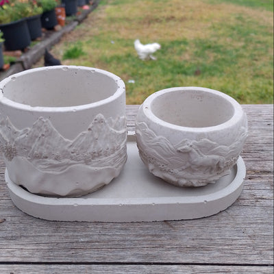 Succulent planter, landscape kit