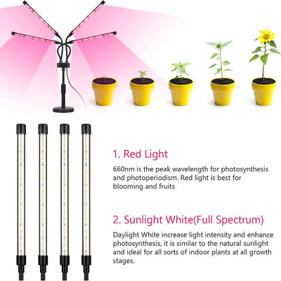 Black Adjustable 5-Head LED Grow Light - Full Spectrum Desktop Plant Lamp with Telescopic Stand, USB Powered for Indoor Seedlings & Flowers