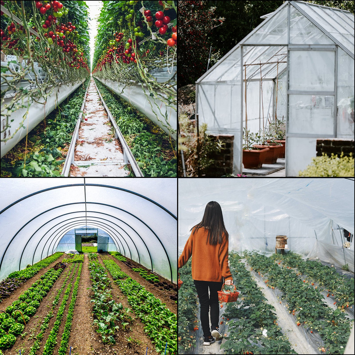 VEVOR Greenhouse Film, Greenhouse Polyethylene Film 20x28 ft Greenhouse Plastic